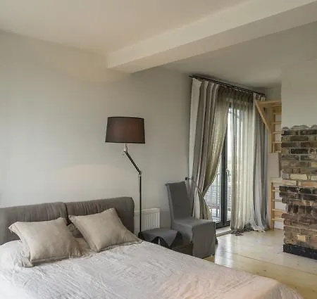 Luxury Loft With Terrace 里加