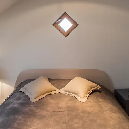 Luxury Loft With Terrace Apartment *