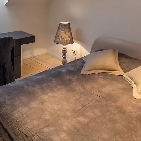 Apartment Luxury Loft With Terrace Riga