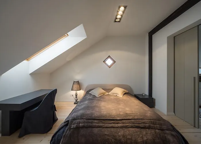 Apartment Luxury Loft With Terrace *