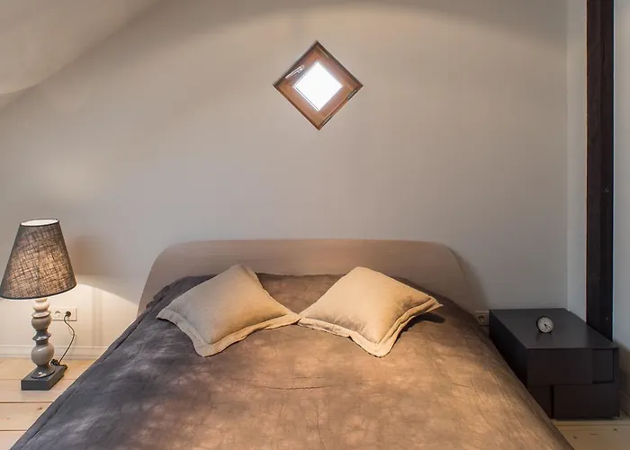 Luxury Loft With Terrace Daire *