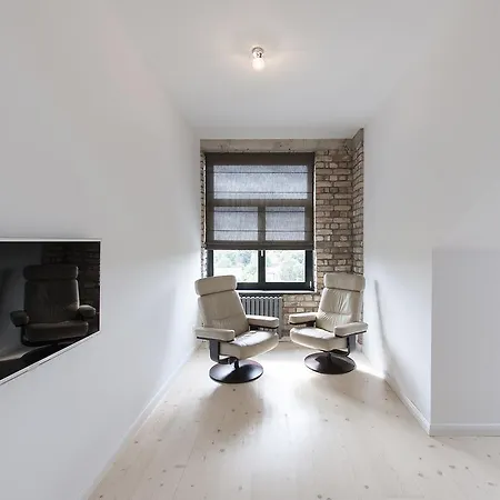 Luxury Loft With Terrace