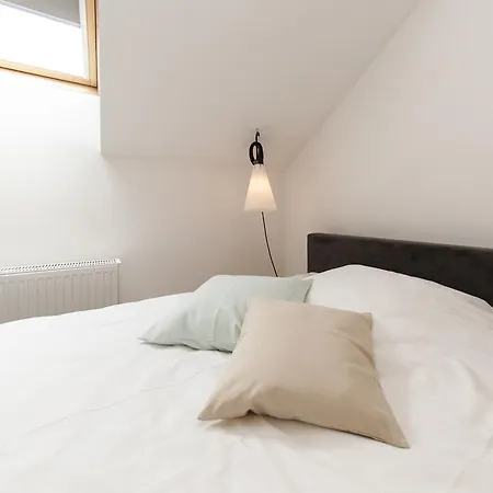 Apartment Luxury Loft With Terrace Riga