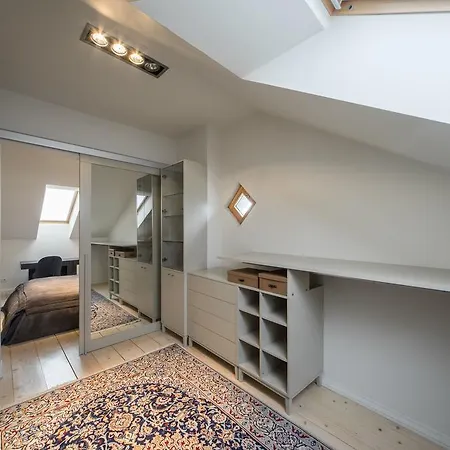 Luxury Loft With Terrace *
