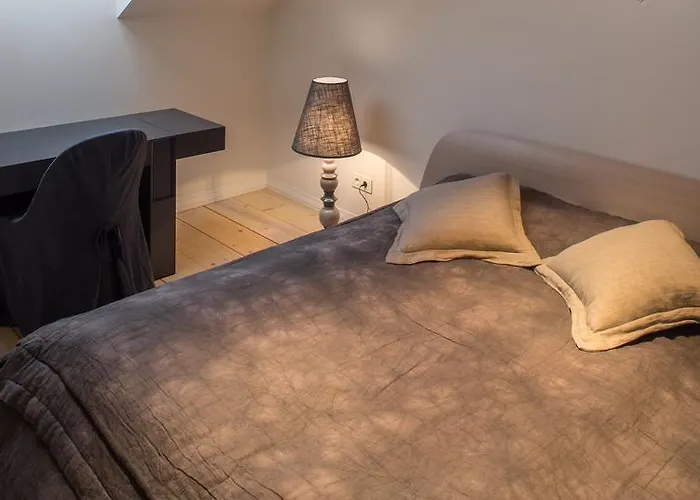 Appartement Luxury Loft With Terrace Riga